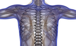 Chronic Back Pain Relief Somerville