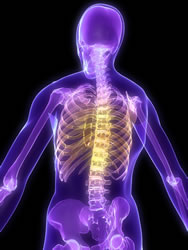 Scoliosis Clinic Somerville