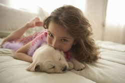 Pediatric Chiropractor Somerville