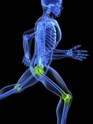 Sciatica chiropractor somerville