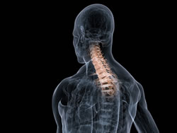 Upper Neck Pain